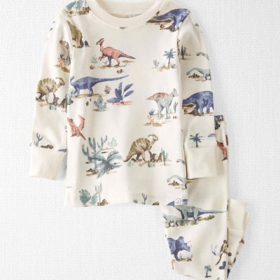 Baby Dinosaur Print Organic Cotton Pajamas Set