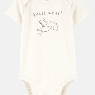 Baby Stork Announcement Bodysuit