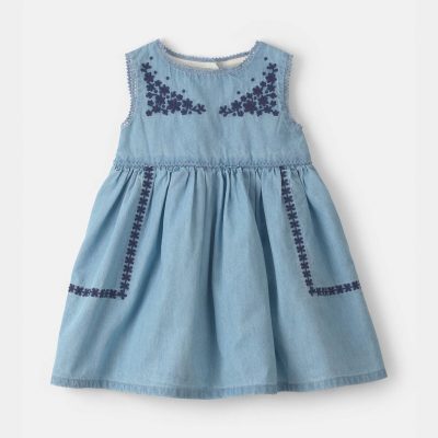 Baby Girl Floral Embroidered Chambray Dress