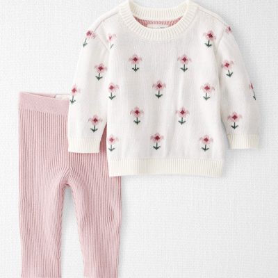 Baby Girl 2-Piece Organic Cotton Knit Pullover & Pant Set in Wildflower Maze