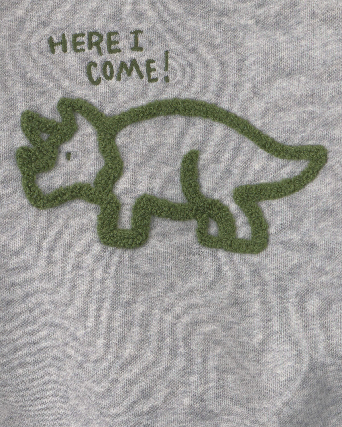 Baby Boy 2-Piece Dinosaur Fleece Pullover & Pant Set - Grey - Image 3