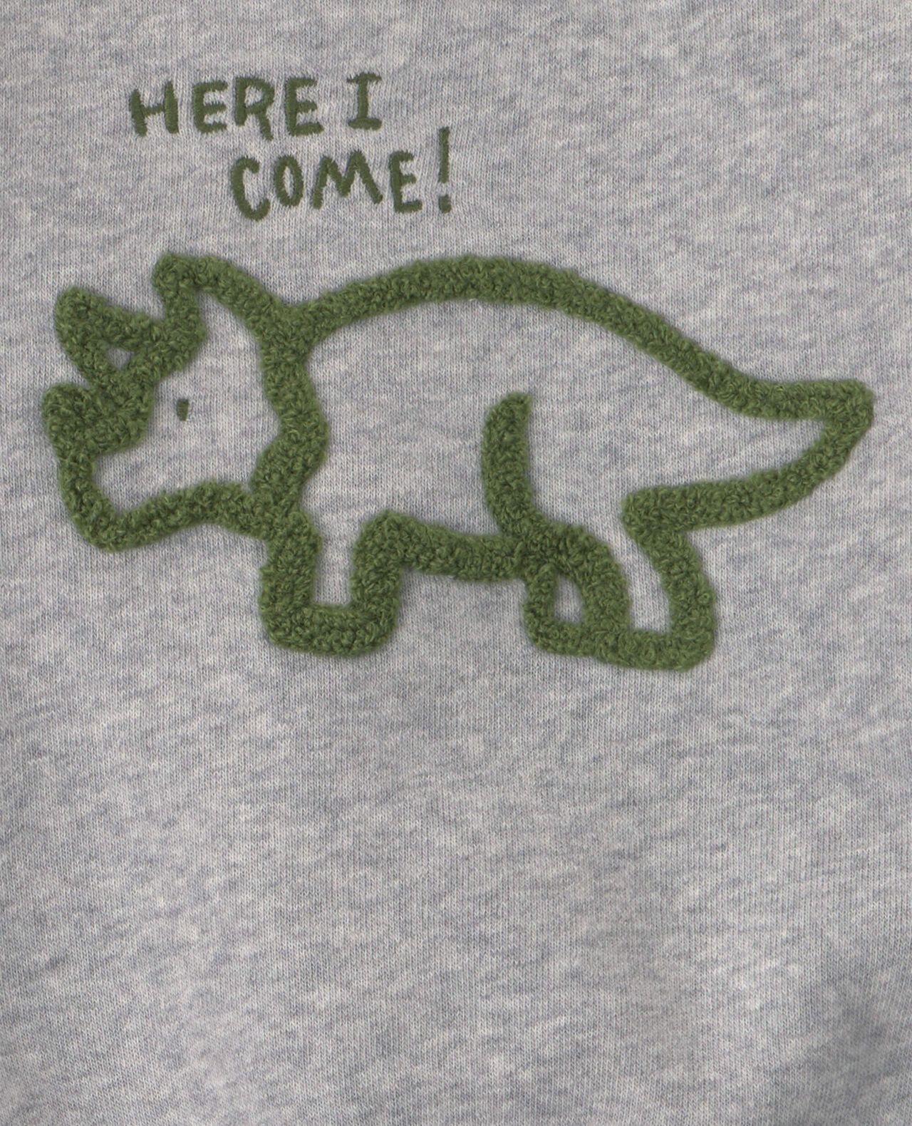 Baby Boy 2-Piece Dinosaur Fleece Pullover & Pant Set - Grey - Image 5