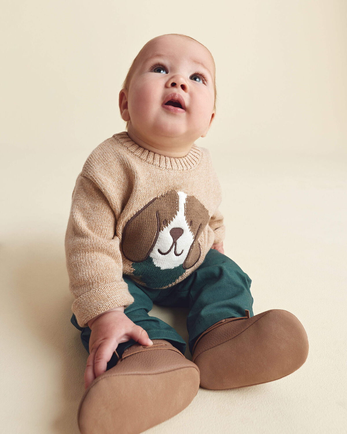 Baby Boy 2-Piece Dog Sweater Top & Pant Set - Brown/Green - Image 3