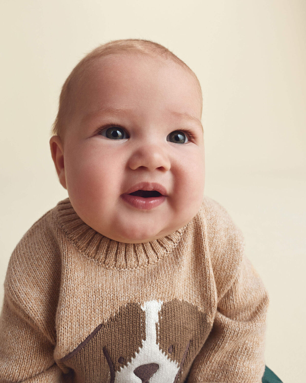 Baby Boy 2-Piece Dog Sweater Top & Pant Set - Brown/Green - Image 4