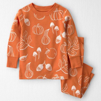 Baby 2-Piece Organic Cotton Pajamas in Autumn Gourds