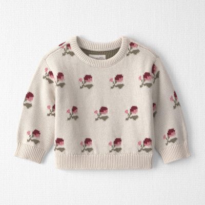 Baby Organic Cotton Sweater Knit Pullover in Wildflower Maize