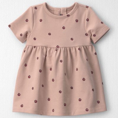 Baby Girl Organic Cotton French Terry Dress in Apples