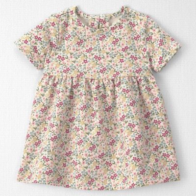 Baby Girl Organic Cotton French Terry Dress in Floral