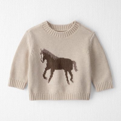 Baby Organic Cotton Horse Sweater Knit Pullover