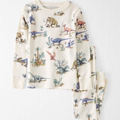 Toddler Dinosaur Print Organic Cotton Pajamas Set