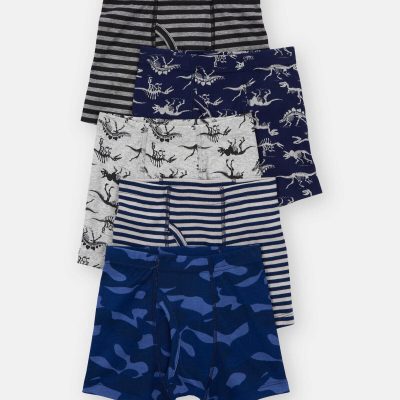 Toddler Boy 5-Pack Dinosaur Animal Print Boxer Brief Underwear
