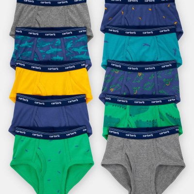 Toddler Boy 10-Pack Dinosaur Print Brief Underwear