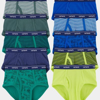 Toddler Boy 10-Pack Dinosaur Brief Underwear