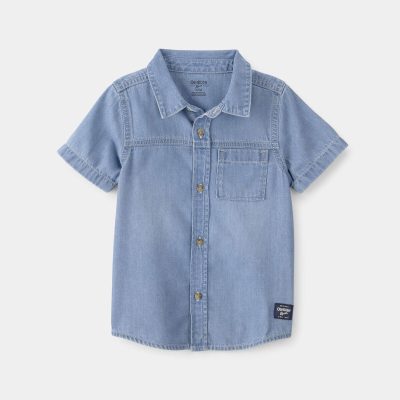 Toddler Boy Denim Button-Down Shirt - Blue