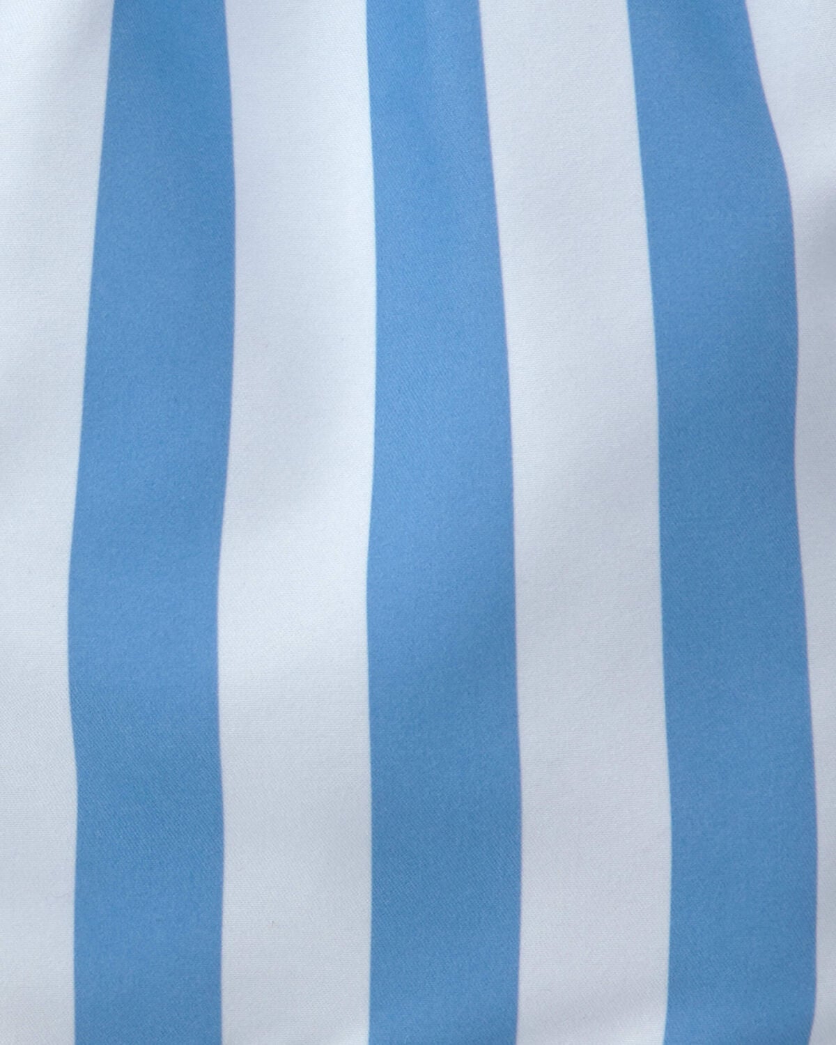 Toddler Boy Striped Swim Trunks - Blue - Image 3