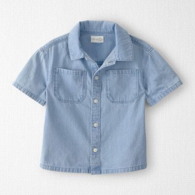 Toddler Boy Organic Cotton Chambray Button-Down Top