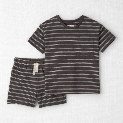 Toddler 2-Piece Top & Short Set Made with Organic Cotton in Stripes