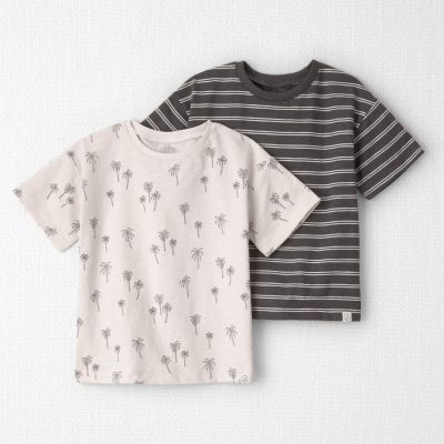 Toddler Boy 2-Pack Organic Cotton T-Shirts in Palm Trees
