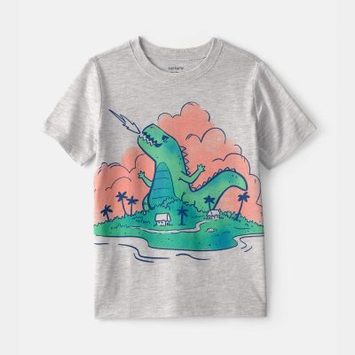 Toddler Boy Dinosaur Graphic Tee - Grey