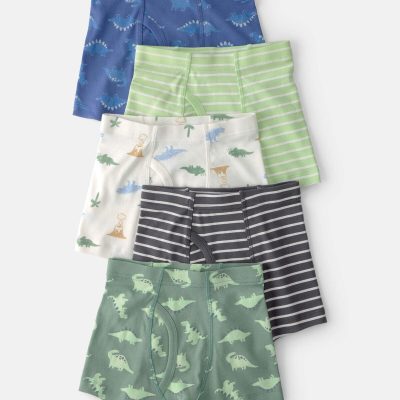 Toddler Boy 5-Pack Dino Boxer Brief Underwear - Green/Blue