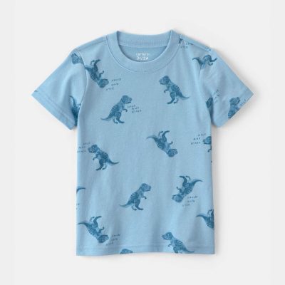 Toddler Boy Dinosaur T-Shirt - Blue