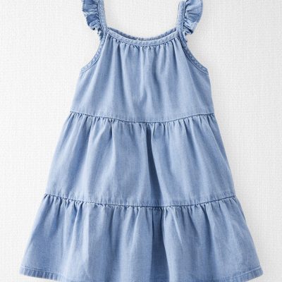 Toddler Girl Organic Cotton Chambray Dress