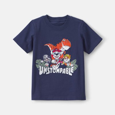 Toddler Boy PAW Patrol Dinosaur Graphic Tee - Blue