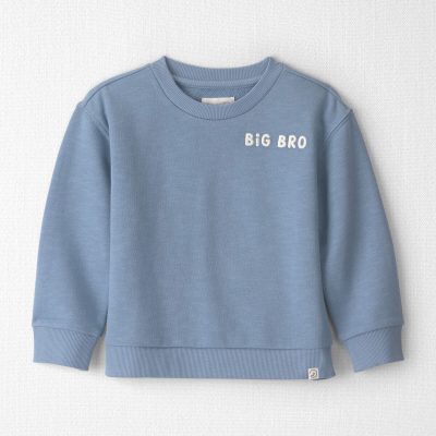 Toddler Boy Organic Cotton Big Bro Pullover