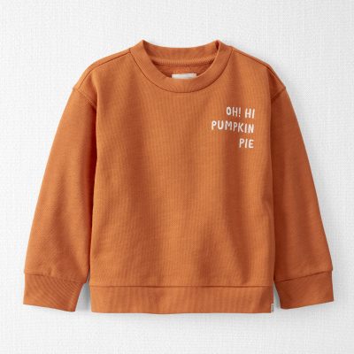 Toddler Organic Cotton Pumpkin Pie Pullover