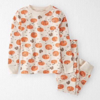 Toddler 2-Piece Organic Cotton Pajamas in Harvest Pumpkins