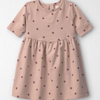 Toddler Girl Organic Cotton French Terry Dress in Apples