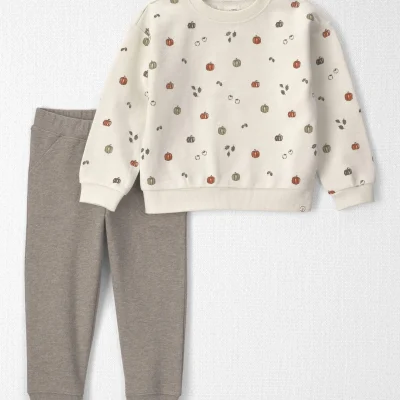 Toddler 2-Piece Organic Cotton French Terry Top & Pant Set