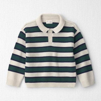 Toddler Boy Organic Cotton Sweater Knit Polo in Stripes