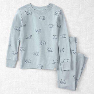 Toddler 2-Piece Organic Cotton Pajamas in Winter Bears