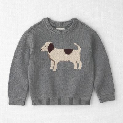 Toddler Organic Cotton Dog Sweater Knit Pullover