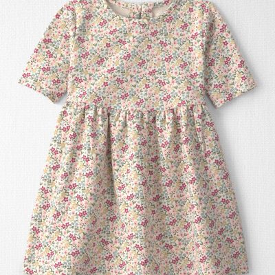 Toddler Girl Organic Cotton French Terry Dress in Floral