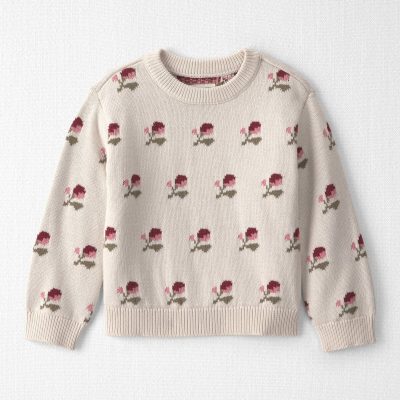Toddler Girl Organic Cotton Sweater Knit Pullover in Wildflower Maize