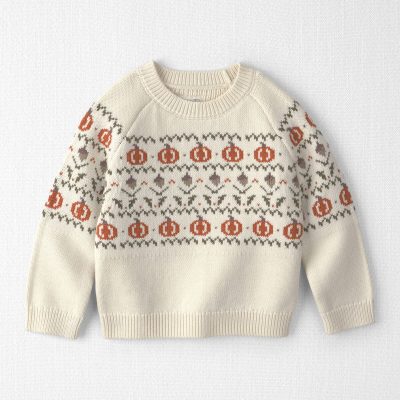 Toddler Organic Cotton Fair Isle Sweater Knit Pullover
