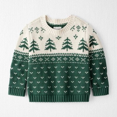 Toddler Organic Cotton Fair Isle Sweater Knit Pullover