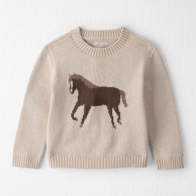 Toddler Organic Cotton Horse Sweater Knit Pullover