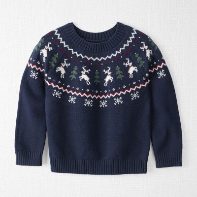 Toddler Organic Cotton Fair Isle Sweater Knit Pullover