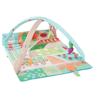 Farmstand Grow & Play Activity Gym