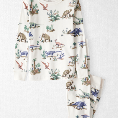 Kids Dinosaur Print Organic Cotton 2-Piece Pajamas