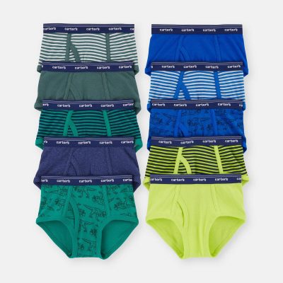 Boys 10-Pack Dinosaur Animal Print Brief Underwear