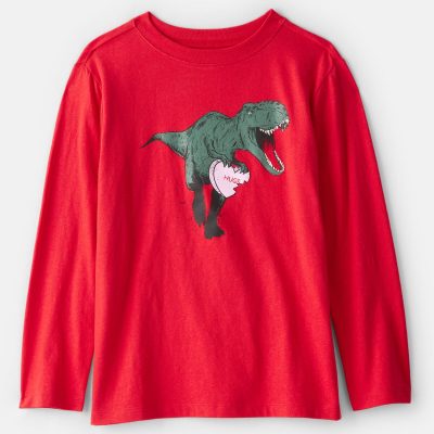 Boys Dinosaur Long-Sleeve Graphic Tee - Red