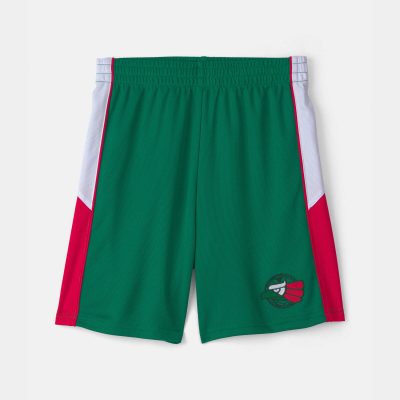 Kids Umbro Mexico Mesh Soccer Shorts - Green/White/Red