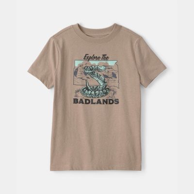Boys Badlands Snake Graphic Tee - Brown