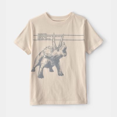 Boys Triceratops Dinosaur Graphic Tee - Cream