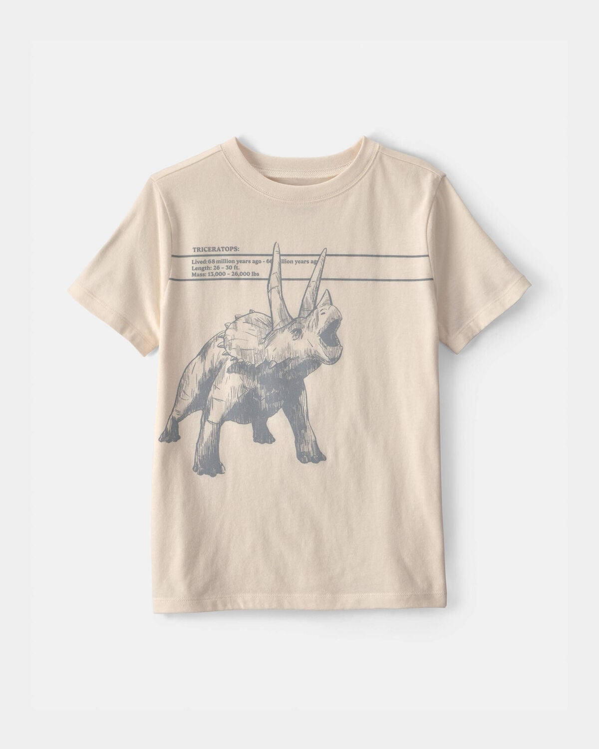 Boys Triceratops Dinosaur Graphic Tee - Cream