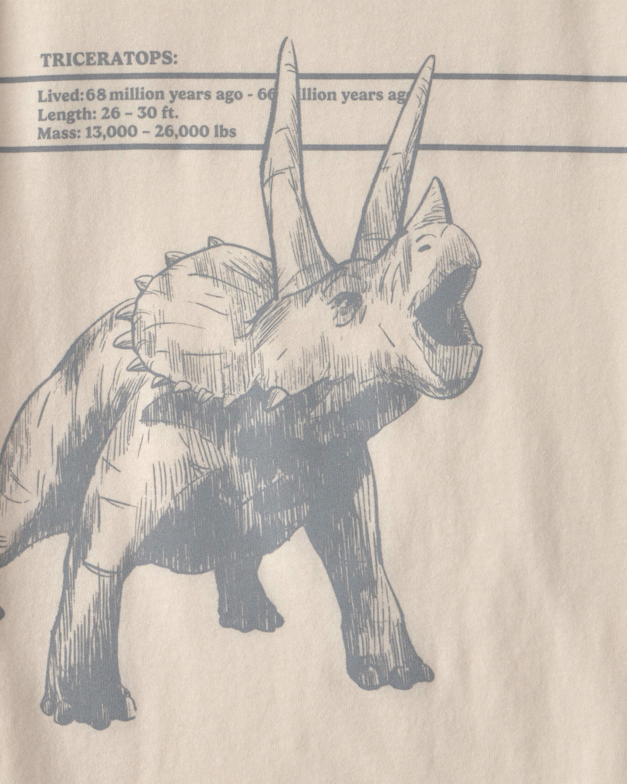 Boys Triceratops Dinosaur Graphic Tee - Cream - Image 3
